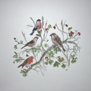 ‘Picture of a bird singing in a hedgerow.’ Credit: Rachel Stocker